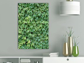 Artgeist Obraz - Thick Ivy (1 Part) Vertical Veľkosť: 40x60, Verzia: Na talianskom plátne