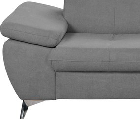 Dvojsedák Gisele, stredne šedá