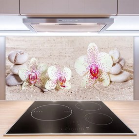 Sklenený obklad Do kuchyne Orchidea kamene zen písek 140x70 cm