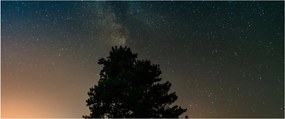 Obraz nočnej oblohy so stromami (120x50 cm)