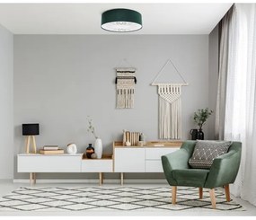 Stropné svietidlo RAYS 2xE27/60W/230V pr. 60 cm zelená