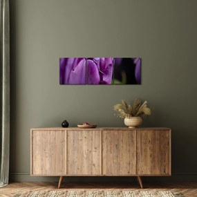 Obraz kvetov tulipánov (s hodinami) (90x30 cm)