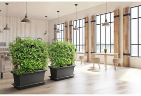 Gardenico Vertikálna podpera Green Wall Magnus, 80 cm, 80 cm