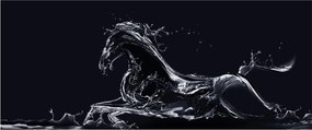 Obraz - Kôň a voda (120x50 cm)