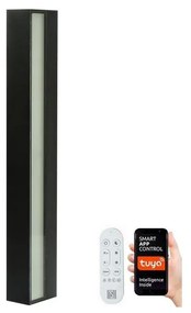Immax Neo 07247L- LED Stmievateľné vonkajšie svietidlo 40W/230V Wi-Fi Tuya IP44 +DO IM1326