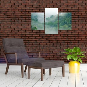 Obraz - Ranná hmla (90x60 cm)