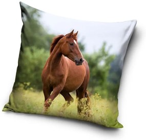 Carbotex DETSKÁ DEKORAČNÁ OBLIEČKA NA VANKÚŠ HORSE3 40X40 CM VZOROVANÁ