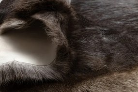 Koberec RENIFER POK018 hnedý / sivý