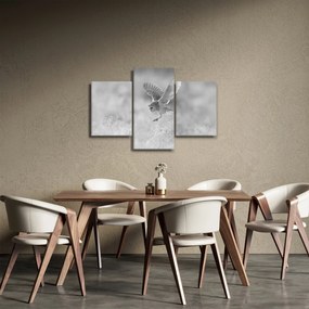 Obraz - Sova, čiernobiela (90x60 cm)