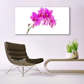 Obraz plexi Vstavač kvet orchidea 120x60 cm