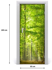 Fototapeta na dvere bukový les 85x205 cm