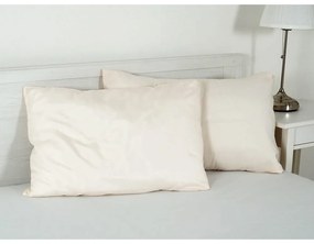 Obliečka na vankúš z mikrovlákna 45x75 cm Summer – B.E.S.