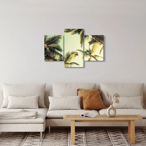Obraz s kokosovými palmami (90x60 cm)
