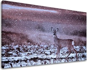 Obraz na stenu ZVIERATÁ