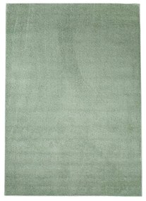 Dekorstudio Koberec s dlhým vlasom SOFTSHINE zelený Rozmer koberca: 60x110cm