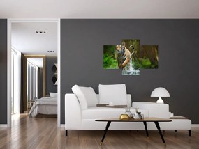 Obraz bežiaceho tigra (90x60 cm)