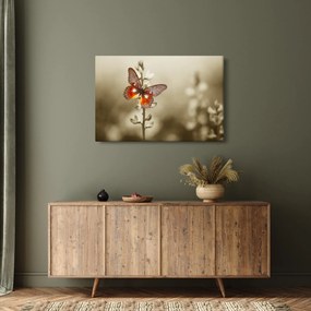 Obraz motýľa (90x60 cm)
