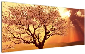 Obraz lúčov Boha (120x50 cm)