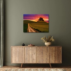 Obraz poľa a farebného neba (70x50 cm)
