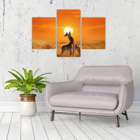 Obraz - Žirafy v národnom parku Serengeti (90x60 cm)