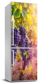 Nálepka na chladničku Príroda vinice FridgeStick-70x190-f-89292664