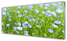 Obraz na akrylátovom skle Kvety tráva rastlina príroda 125x50 cm