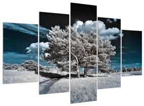 Obraz snehovo bieleho stromu (150x105 cm)