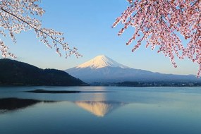 Samolepiaca fototapeta výhľad z jazera na Fuji - 225x150