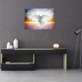 Sklenený obraz holubice (70x50 cm)
