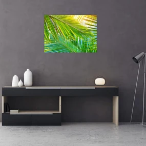 Obraz - Palmové listy (70x50 cm)
