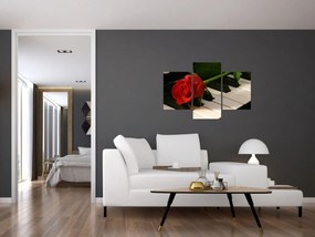 Obraz - Klavír a ruža (90x60 cm)