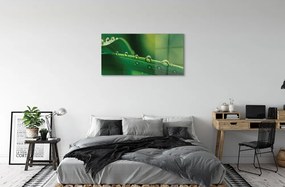 Obraz na skle Kvapky tráva makro 120x60 cm