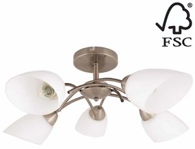 Spot-Light Spot-Light 8141511 - Prisadený luster VILETTA 5xE27/60W/230V SP0801