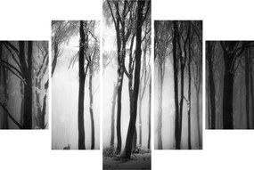 Obraz - Vlk v temnom lese (150x105 cm)