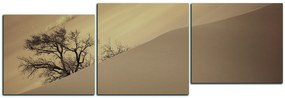 Obraz na plátne - Červené piesočné duny - panoráma 5133FD (120x40 cm)