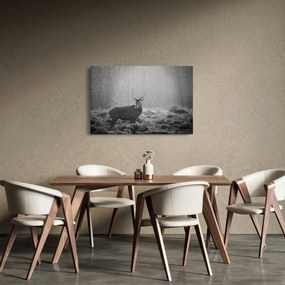Obraz - Jeleň v lese, čiernobiela (90x60 cm)