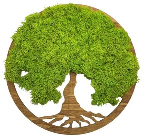 Strom na stenu z machu Elva 30 cm