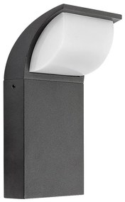 Rabalux 7166 - LED Vonkajšie nástenné svietidlo HONGKONG LED/9W/230V IP65