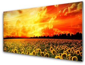 Skleneny obraz Lúka slnečnica kvety 100x50 cm