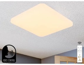 LED Stmievateľné stropné svietidlo s hlasovým ovládaním OPAL LED/48W/230V + DO