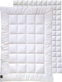 XXXLutz PRIKRÝVKA NA 4 ROČ. OBDOBIA, 135/200 cm, duté vlákno Billerbeck - Prikrývky & vankúše - 003279011901