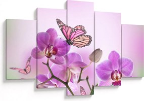 Obraz - Motýľ na kvetoch orchidey, lila (150x105 cm)