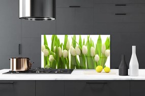 Nástenný panel  Tulipány kvety rastlina 100x50 cm