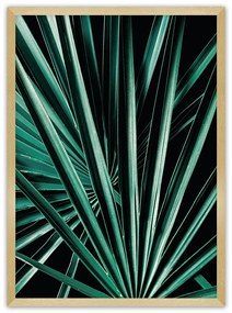 Plagát Dark Palm Tree