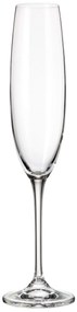 Crystalite Bohemia poháre na šampanské Fulica 250 ml 6KS