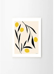 Plagát 50x70 cm Lemon – Anna Mörner – The Poster Club