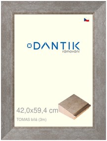 DANTIK rám na obraz 42x59,4 | TOMAS bílá velká (Plexi Čiré)