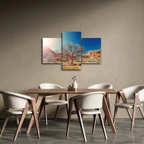 Obraz stromu v púšti (90x60 cm)