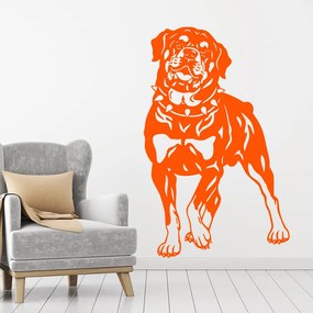 Veselá Stena Samolepka Pes Rotvajler Farba: oranžová, Veľkosť: 40 x 25 cm