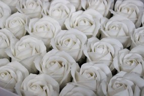 Biele mydlové hlavičky ruží 50ks 6cm